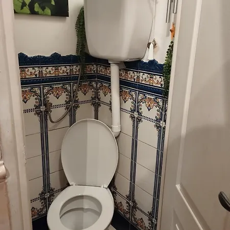 35 M2 Patio Sur Jardin بيربينيو